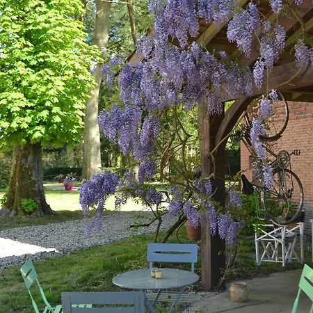 Bed & Breakfast Les D'hotes Du Domaine De Lugazaut